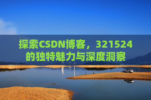 探索CSDN博客，321524的独特魅力与深度洞察