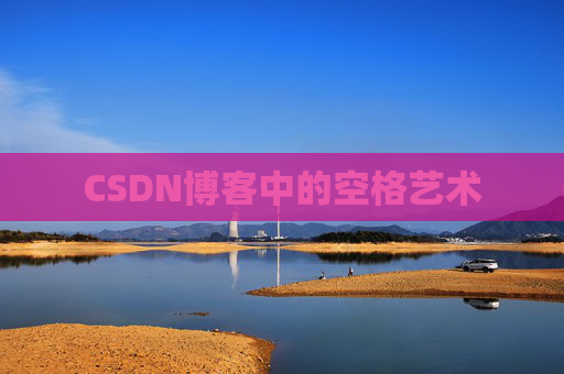 CSDN博客中的空格艺术